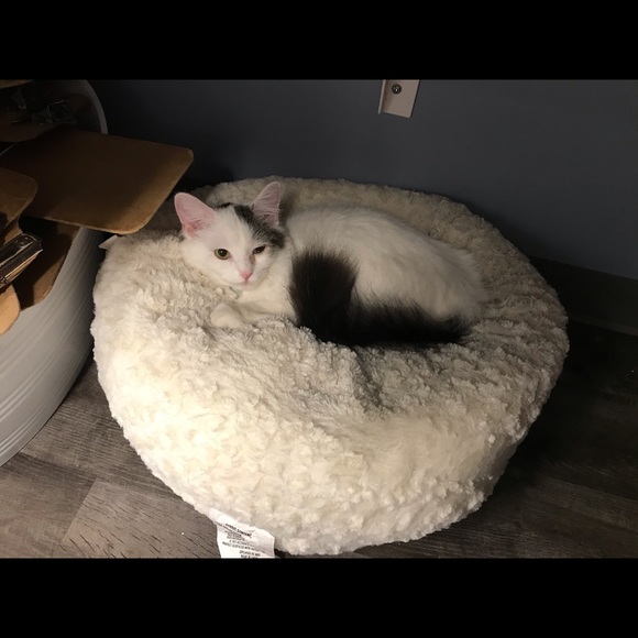 Meet your Posher, Amanda - Picture 3 of 8